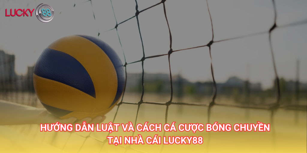 Hướng dẫn luật và cách cá cược bóng chuyền tại nhà cái Lucky88