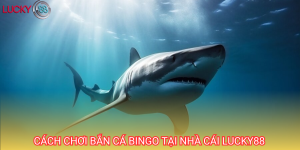 Bắn cá Bingo là tựa game đổi thưởng hàng đầu tại nhà cái Lucky88