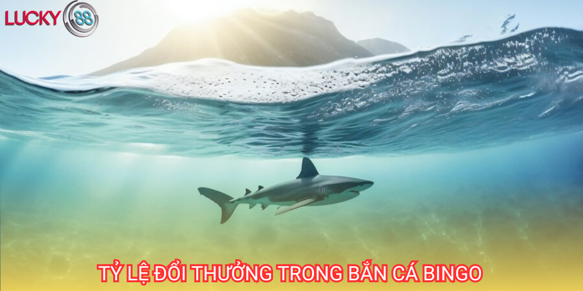 Bắn cá Bingo có tỷ lệ đổi thưởng khá cao so với mặt bằng chung thị trường